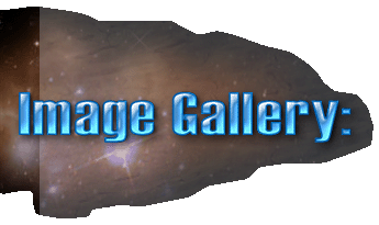 Image Gallery