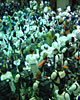 501st Group Photo
