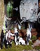 Endor Scene