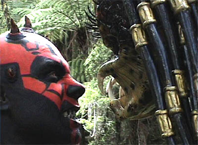 Predator vs TK