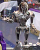 Wellington Armageddon 2007