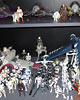 Collector Spotlight