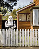 NZHerald Canvas Supplement