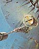 R2D2_Space_Ice_sticker_15