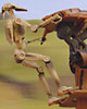 Battledroid with STAP
