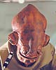 Gerald Home as Mon Calamari Officer